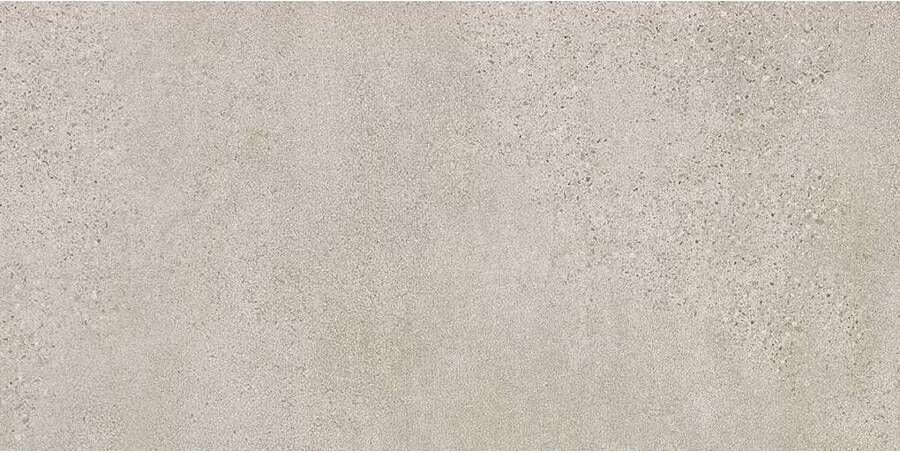 Rak Paleo Vloertegel | 30x60 cm | Gerectificeerd | Natuursteenlook | Mat Beige