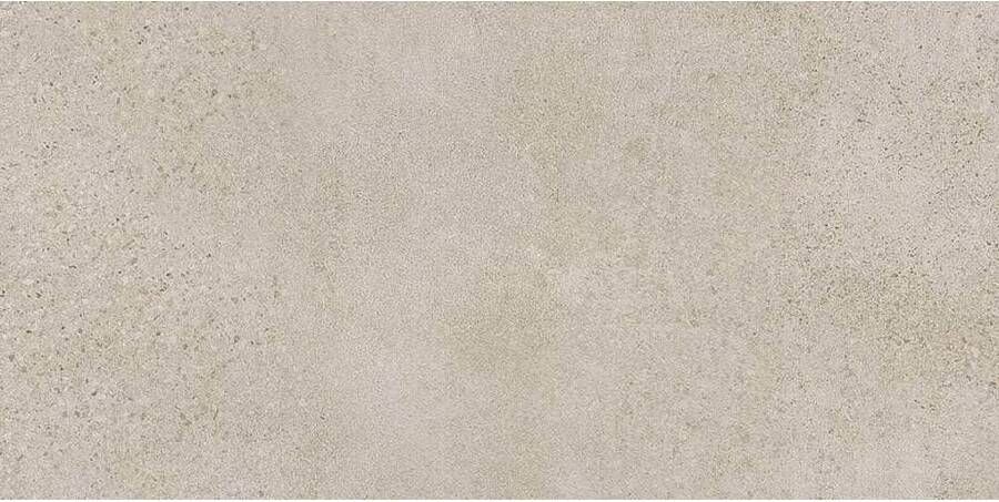 Rak Paleo Vloertegel | 30x60 cm | Gerectificeerd | Natuursteenlook | Mat Beige