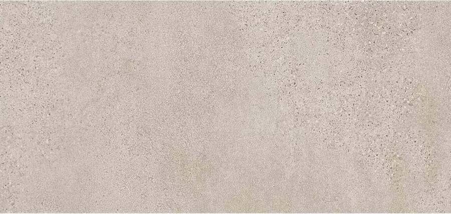 Rak Paleo Vloertegel | 60x120 cm | Gerectificeerd | Natuursteenlook | Mat Beige