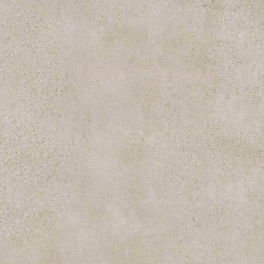 Rak Paleo Vloertegel | 60x60 cm | Gerectificeerd | Natuursteenlook | Mat Beige