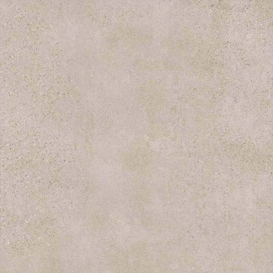 Rak Paleo Vloertegel | 80x80 cm | Gerectificeerd | Natuursteenlook | Mat Beige