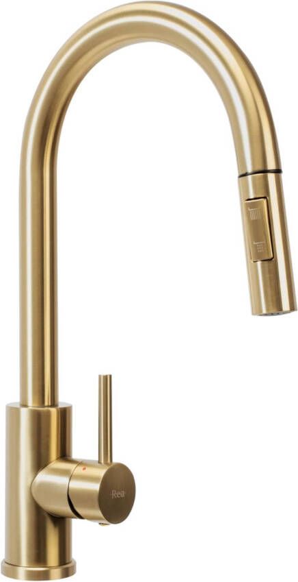 REA Keukenkraan Fresh | Opbouw | Mengkraan | Uitloop draaibaar | Uitrekbare sproeier | Hoog model | 1-hendel | Goud geborsteld