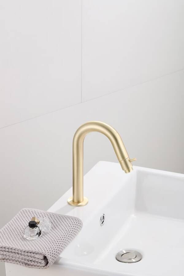 SaniClear Fonteinkraan Brass | Opbouw | Koudwater kraan | Standaard model | 1-knop | Rond | Geborsteld messing mat goud