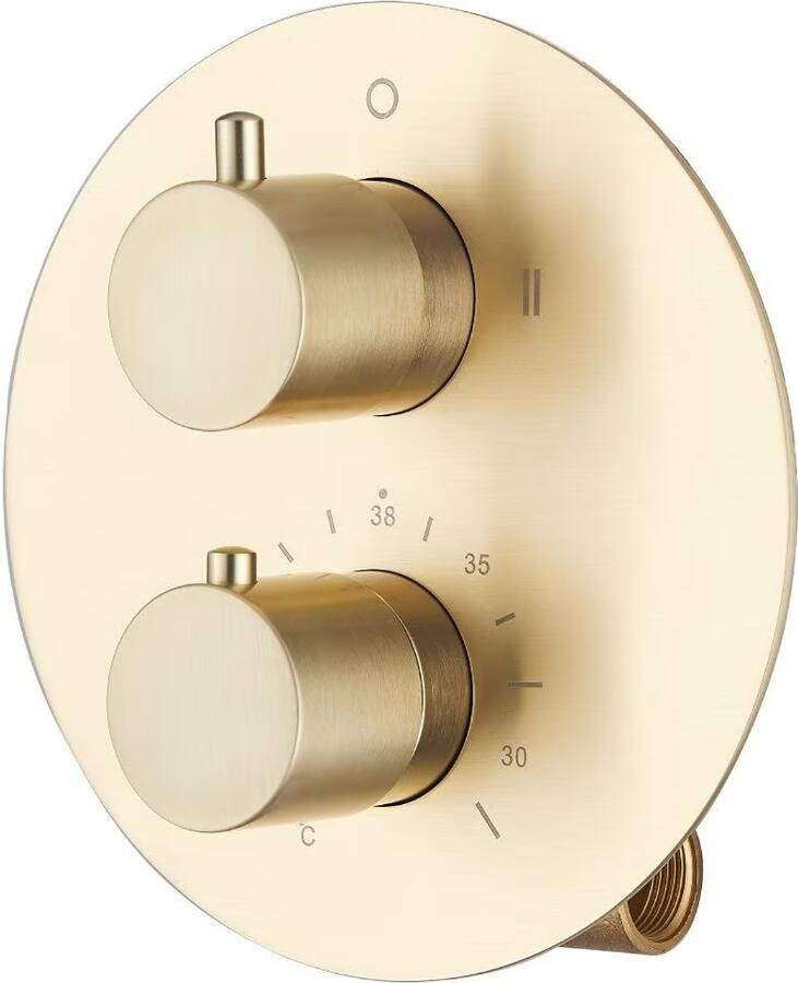 SaniClear Douchekraan Brass | Inbouw | Mengkraan | Incl.Inbouwdeel | 2-weg | Rond | Goud mat