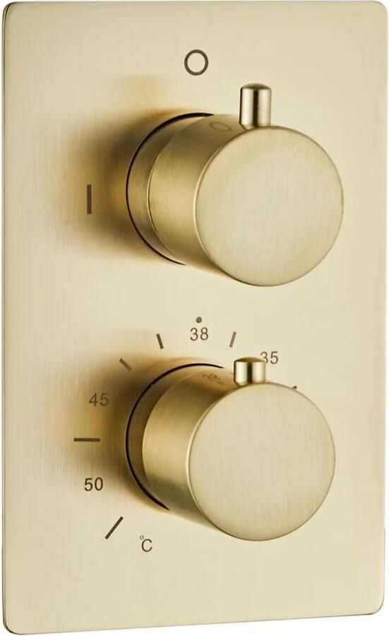 SaniClear Douchekraan Brass | Inbouw | Thermostaatkraan | Incl.Inbouwdeel | 2-weg | Rond | Goud mat - Foto 3