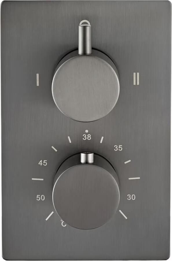 SaniClear Douchekraan Iron | Inbouw | Thermostaatkraan | Incl.Inbouwdeel | 2-weg | Rond | Verouderd ijzer gunmetal - Foto 2