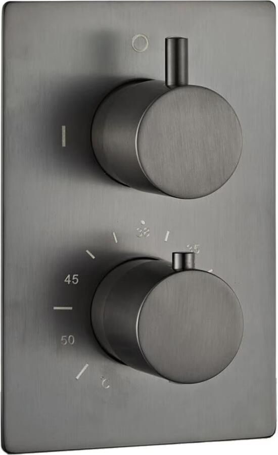 SaniClear Douchekraan Iron | Inbouw | Thermostaatkraan | Incl.Inbouwdeel | 2-weg | Rond | Verouderd ijzer gunmetal - Foto 3