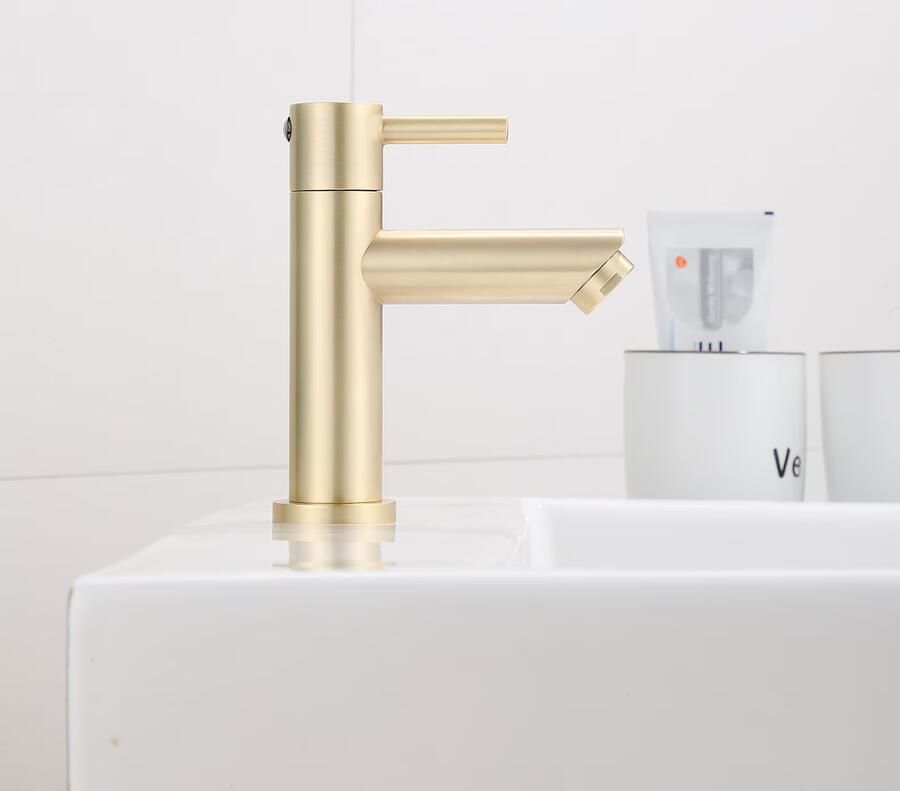 SaniClear Fonteinkraan Brass | Opbouw | Koudwater kraan | Standaard model | 1-hendel | Rond | Geborsteld messing mat goud