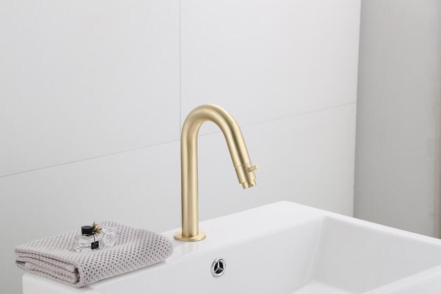 SaniClear Fonteinkraan Brass | Opbouw | Koudwater kraan | Standaard model | 1-knop | Rond | Geborsteld messing mat goud - Foto 3