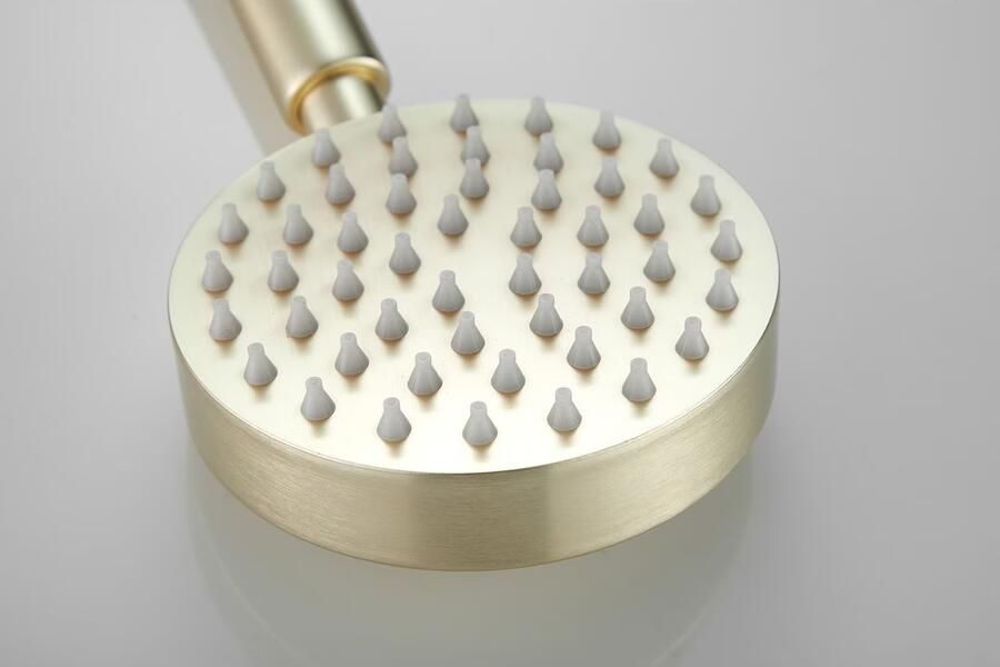 SaniClear Handdouche Vision | 1 Stand | Rond | Geborsteld messing