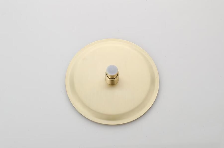 SaniClear Hoofddouche Brass | 20 cm | Rond | Geborsteld messing mat goud