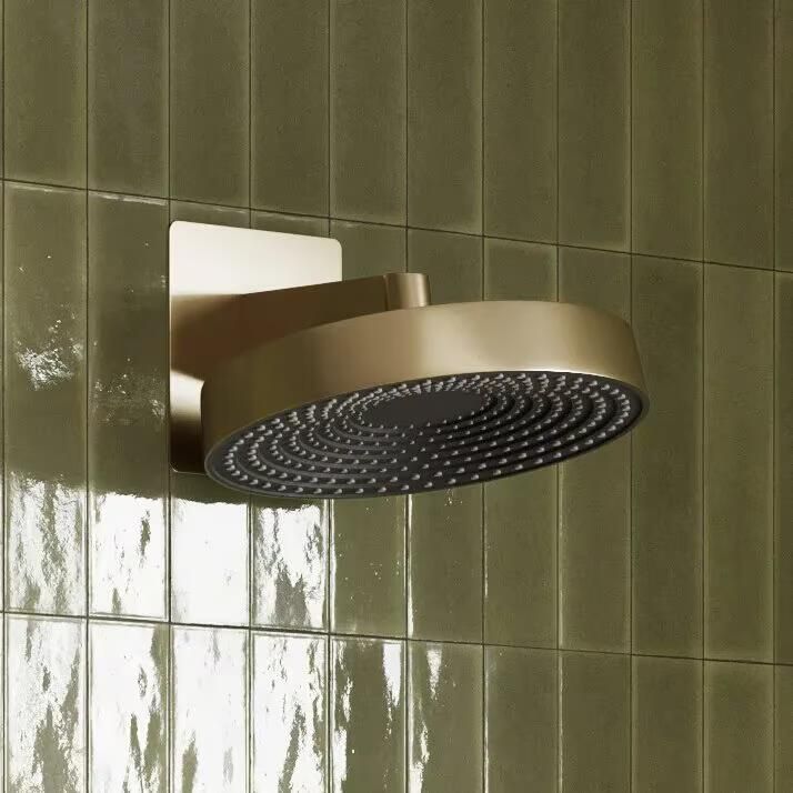 SaniClear Hoofddouche Evolution | 30 cm | Rond | Geborsteld messing - Foto 3