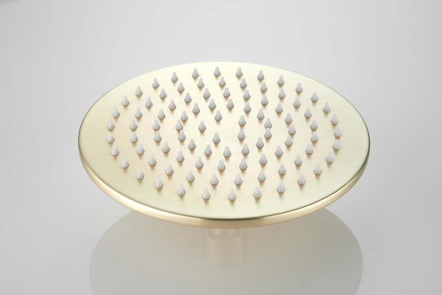 SaniClear Hoofddouche Vision | 20 cm | Rond | Geborsteld messing