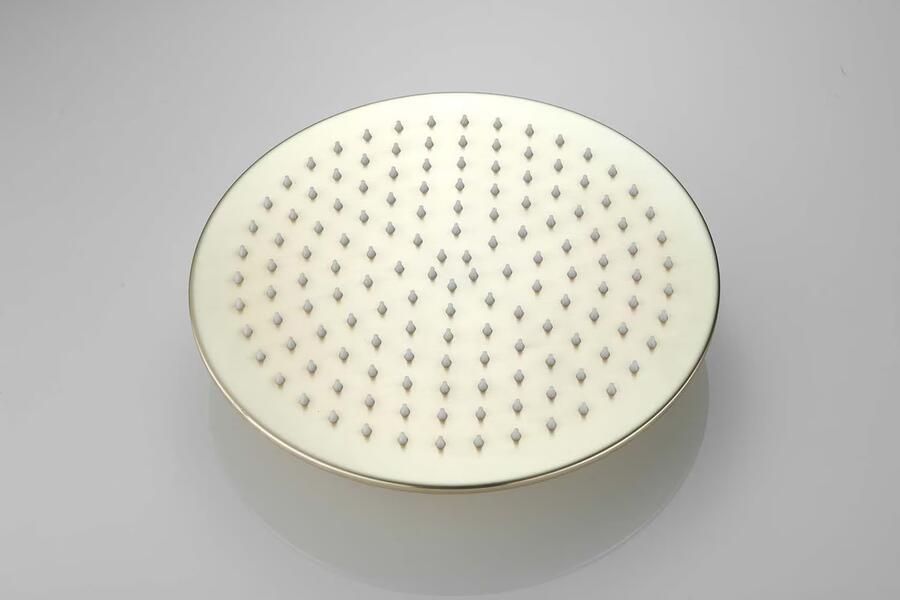 SaniClear Hoofddouche Vision | 30 cm | Rond | Geborsteld messing