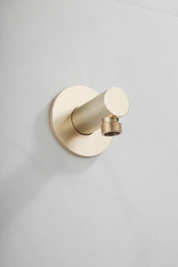 SaniClear Plus wand wateraansluiting Geborsteld messing mat goud