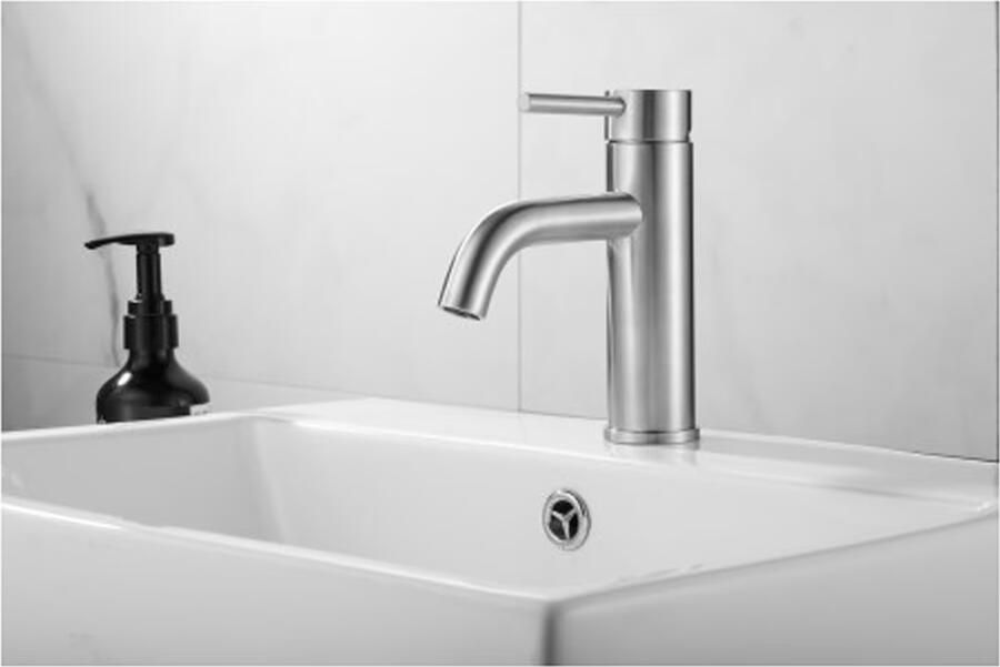 SaniClear Wastafelkraan Plus | Opbouw | Mengkraan | Standaard model | 1-hendel | Rond | rvs - Foto 2