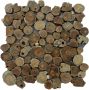 Stabigo Wood panels 06 Coin Root houtpaneel 30x30 cm bruin mat - Thumbnail 1