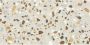 STN Cerámica Crisp XL Vloer- en wandtegel | 59.5x119 cm | Gerectificeerd | Terrazzo | Mat Beige - Thumbnail 1