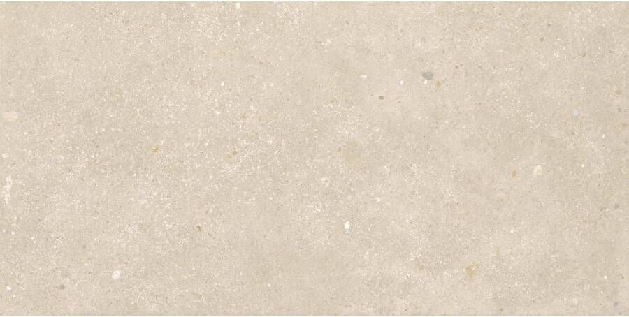 STN Cerámica Glamstone Vloer- en wandtegel | 59.5x120 cm | Gerectificeerd | Natuursteenlook | Mat Beige