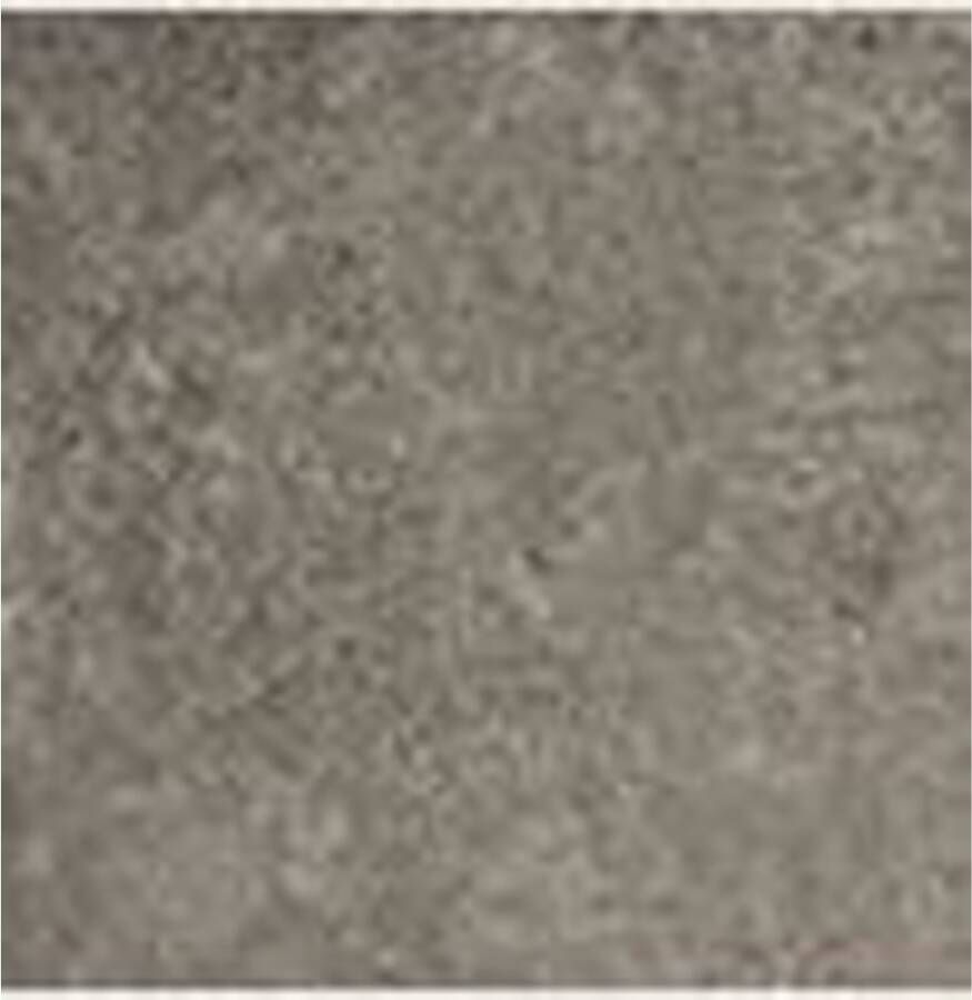 Tagina Apogeo14 Vloertegel | 60x60 cm | Gerectificeerd | Mat Antraciet
