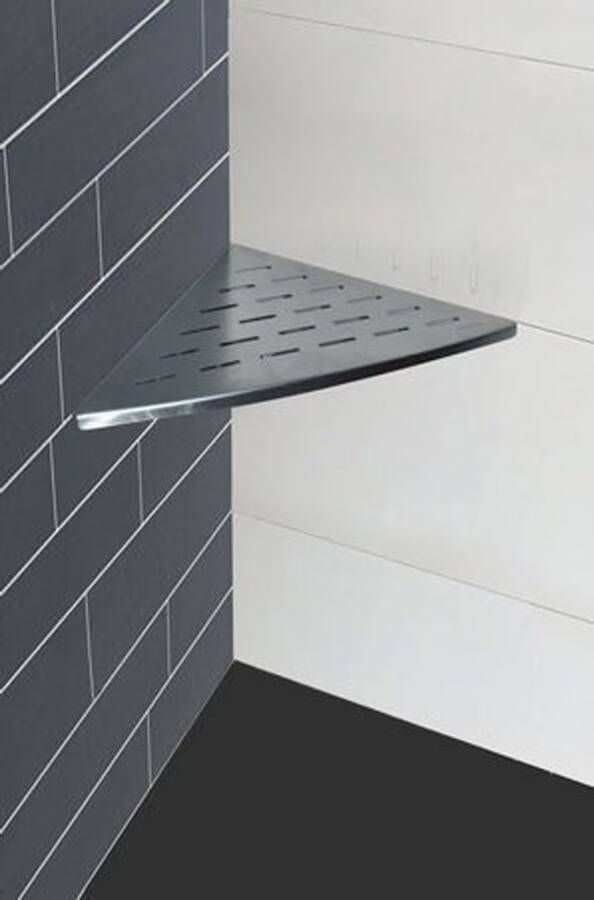 Wiesbaden Planchet InWall | Wandmontage | 29 | RVS | Driehoek | RVS
