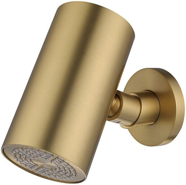 Wiesbaden Hoofddouche UniMatch | 8x15 cm | Rond | Geborsteld messing PVD - Foto 4