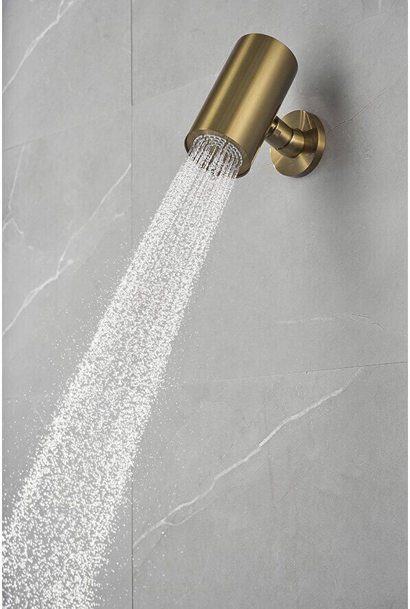 Wiesbaden Hoofddouche UniMatch | 8x15 cm | Rond | Geborsteld messing PVD