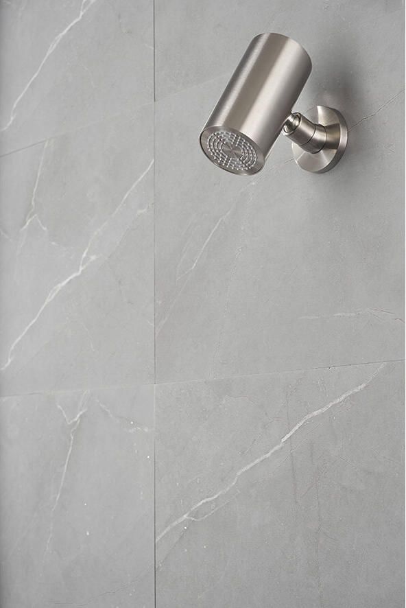 Wiesbaden Hoofddouche UniMatch | 8x15 cm | Rond | Geborsteld staal PVD - Foto 2