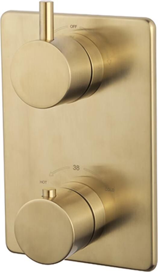 Wiesbaden Caral one-pack complete inbouwthermostaatset met muurbevestiging met 20 cm hoofddouche geborsteld messing - Foto 5
