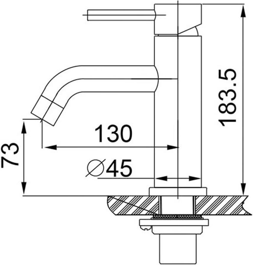 Wiesbaden Wastafelkraan 304 | Opbouw | Mengkraan | Standaard model | 1-hendel | Rond | RVS