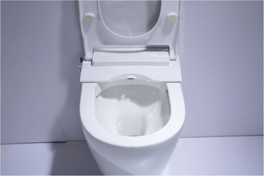 Xellanz Terra wandcloset met Aqua toiletzitting met bidet functie wit glans - Foto 3