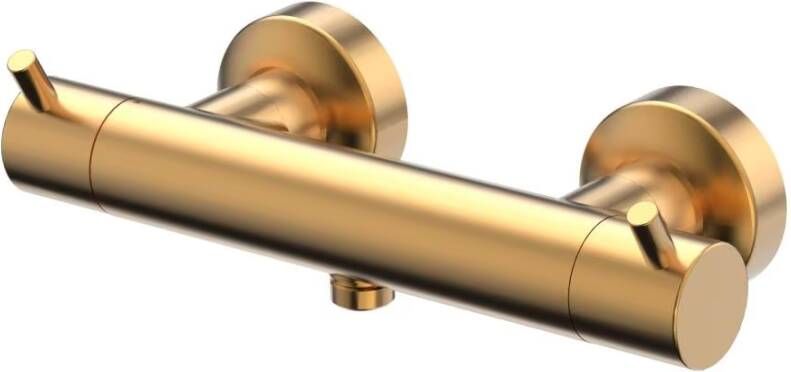 Xenz Douchekraan Duero | Opbouw | Thermostaatkraan | Tweegreeps | Goud geborsteld