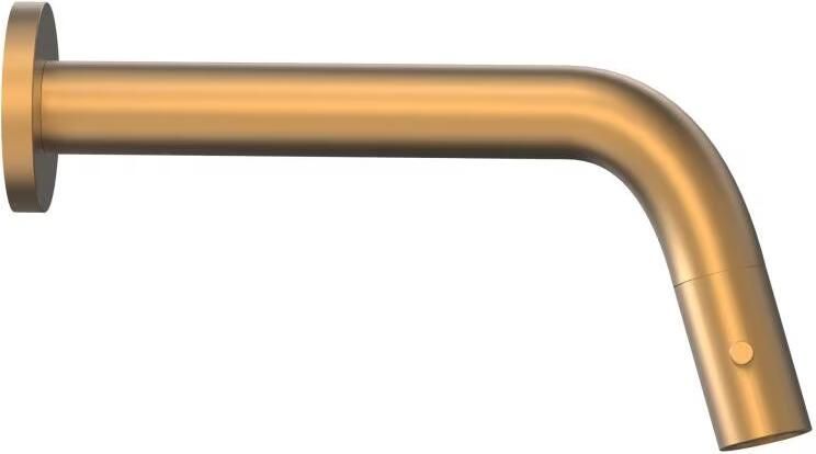 Xenz Fonteinkraan Duero plus | Koudwater kraan | Goud geborsteld