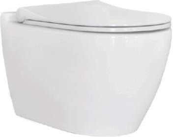 Badstuber Uno randloos hangend toilet met softclose zitting wit online kopen