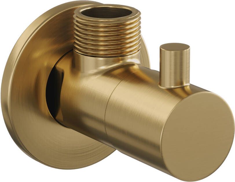 Brauer Gold Edition hoekstopkraan goud geborsteld PVD