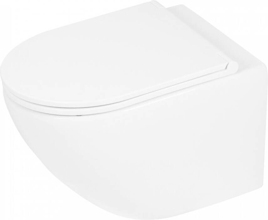 Differnz wandcloset Spoelrandloos 51.5x35.5cm met softclose zitting mat wit 38.500.06