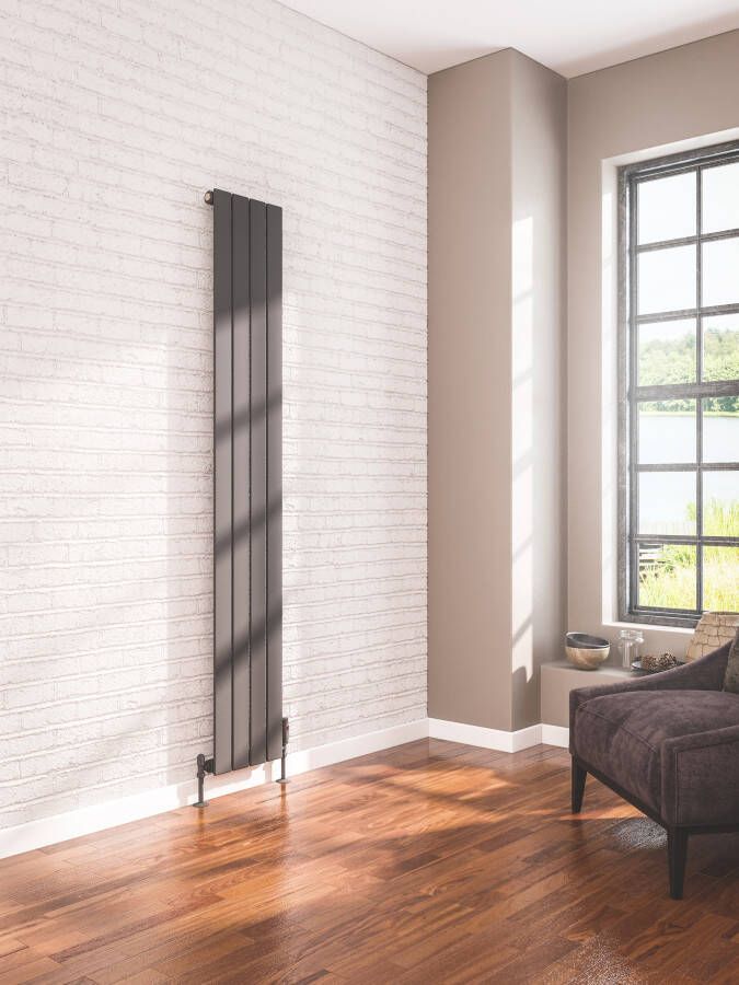 Eastbrook Addington type 10 radiator 30x180cm staal 744W antraciet