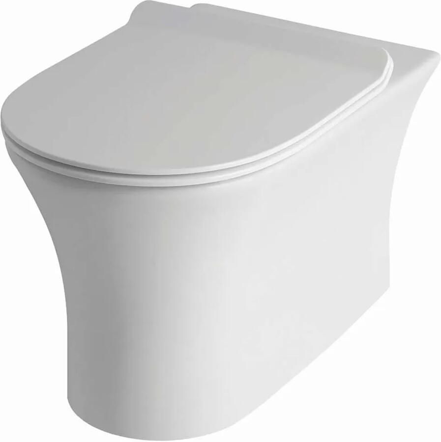 Eastbrook Northall Comfort randloos staand toilet wit glans