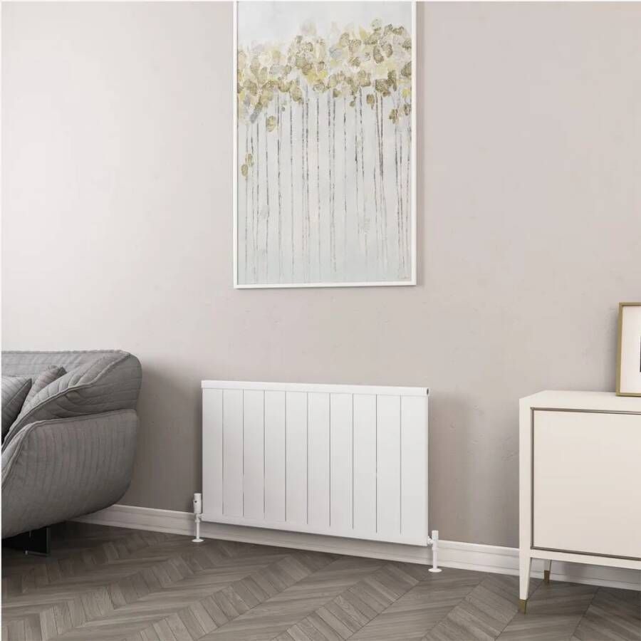 Eastbrook Kingswood paneelradiator 100x60cm 1064W wit mat