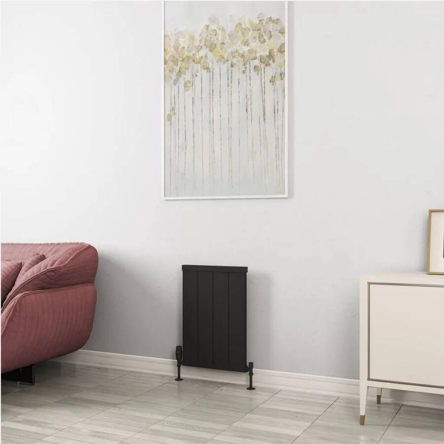 Eastbrook Kingswood paneelradiator 40x60cm 426W zwart mat