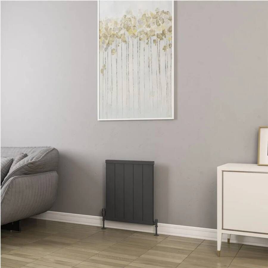 Eastbrook Kingswood paneelradiator 50x60cm 532W antraciet mat