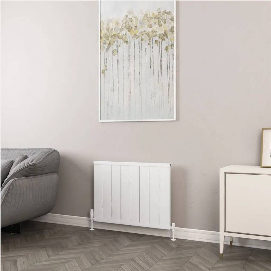 Eastbrook Kingswood paneelradiator 80x60cm 851W wit mat
