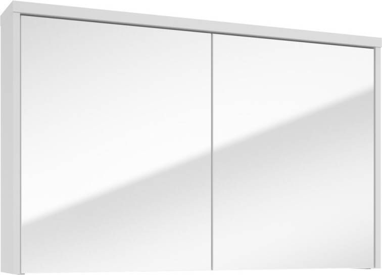 Fontana Basic spiegelkast 100cm met 2 deuren wit mat