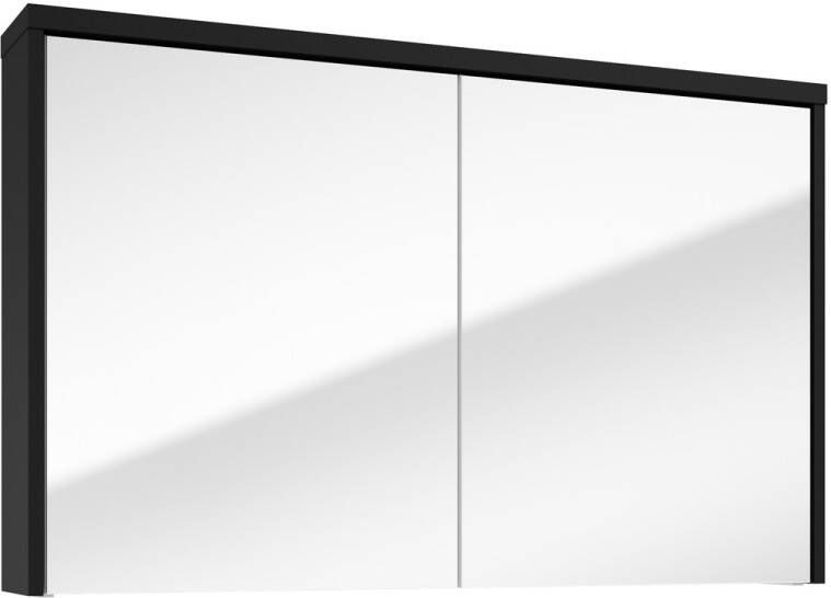 Fontana Basic spiegelkast 100cm met 2 deuren zwart mat