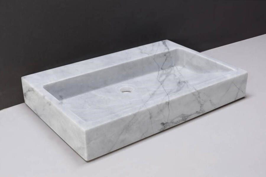 Forzalaqua Palermo wastafel 80.5x51.5x9cm Rechthoek 0 kraangaten Natuursteen Carrara gepolijst 100474
