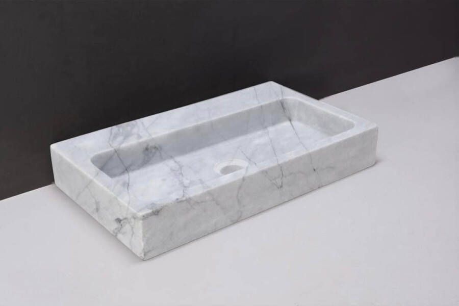 Forzalaqua Taranto wastafel 50x30x8cm Rechthoek 1 kraangat Natuursteen Carrara gepolijst 100492