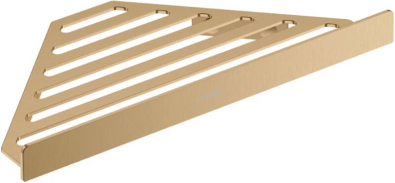 Hansgrohe AddStoris doucherek 14 8x14 8x2 6cm brushed bronze