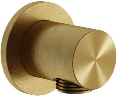 Hotbath Archie AR517 wanduitlaat rond RVS 316 Geborsteld Messing PVD