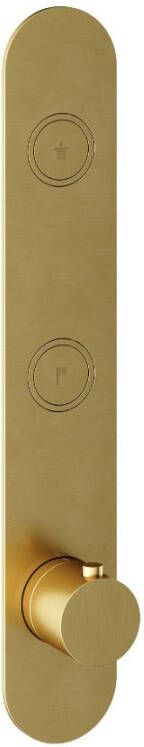 Hotbath Cobber afbouwdeel inbouwthermostaat met 2 pushbuttons verticale plaatsing geborsteld messing (goud) PVD PB066EXTBBP - Foto 2