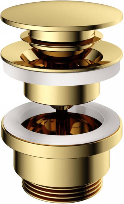 Hotbath Clickwaste Cobber Afvoerplug met Schroef Rond Gepolijst Messing Living Colours